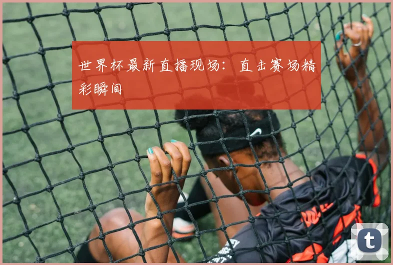 世界杯最新直播现场：直击赛场精彩瞬间