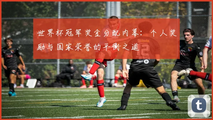 世界杯冠军奖金分配内幕：个人奖励与国家荣誉的平衡之道
